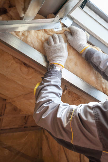Best Residential Insulation in Winnebago, IL